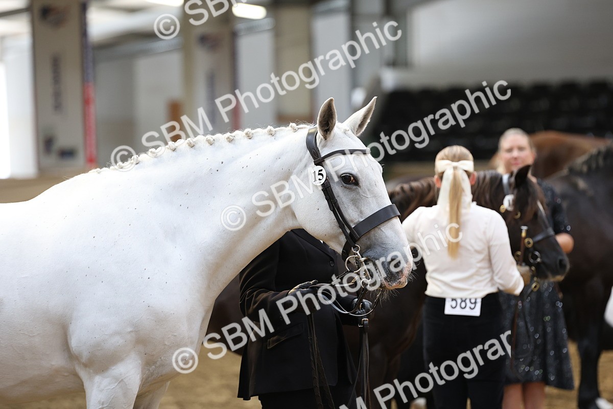 SBM_23310 - Class 903 - Supreme Final - IH Pre Vet