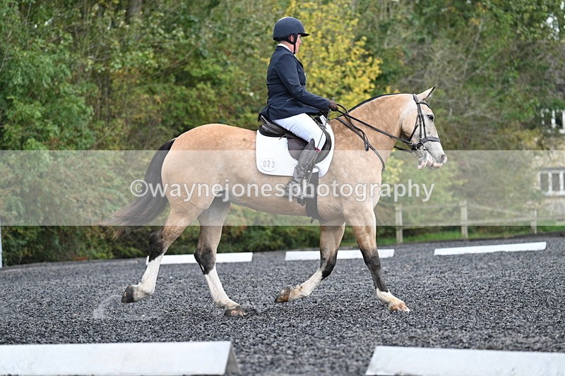 WJ7_4460 - Time 11:43 to 12:09