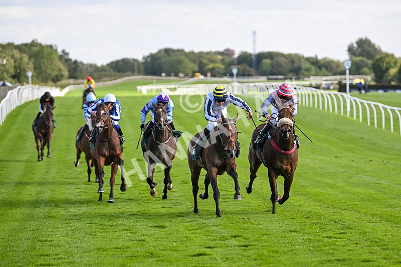 100924-Race 4-Scarboroughwarning-0334 - Race 4