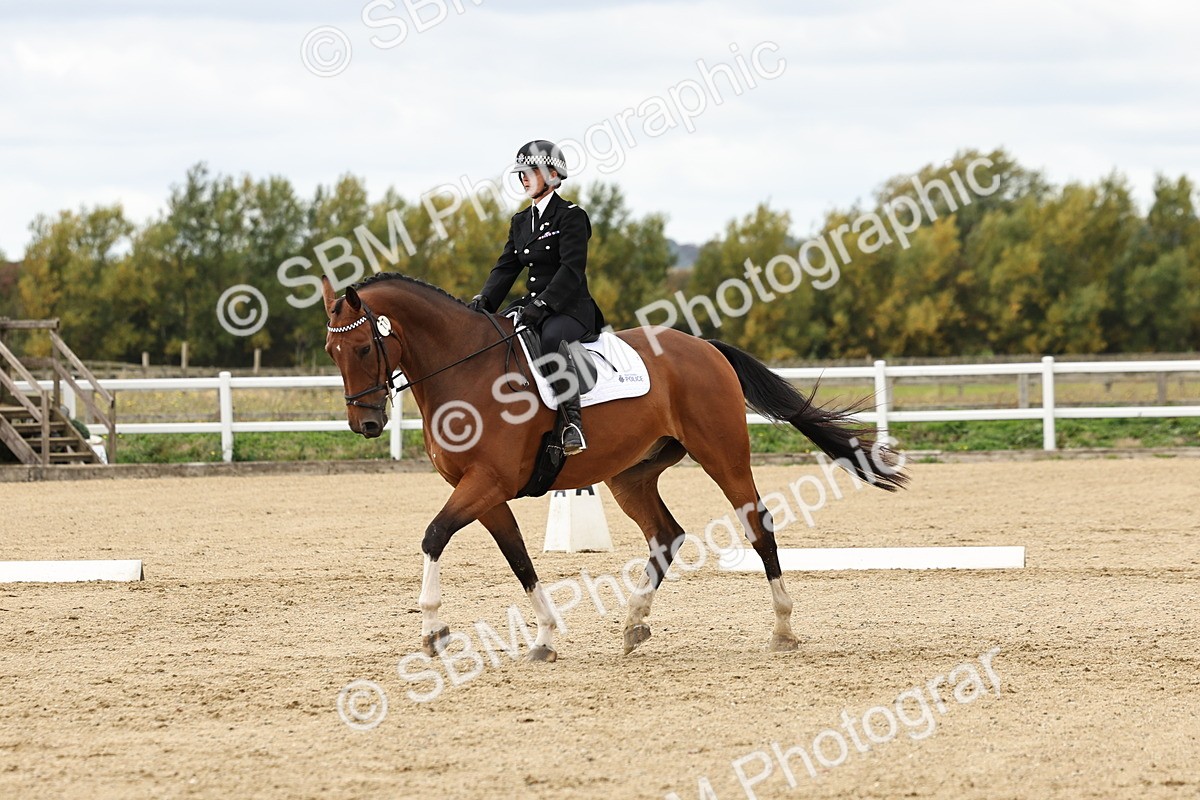 SBM_004525 - Class 69 - Novice 2