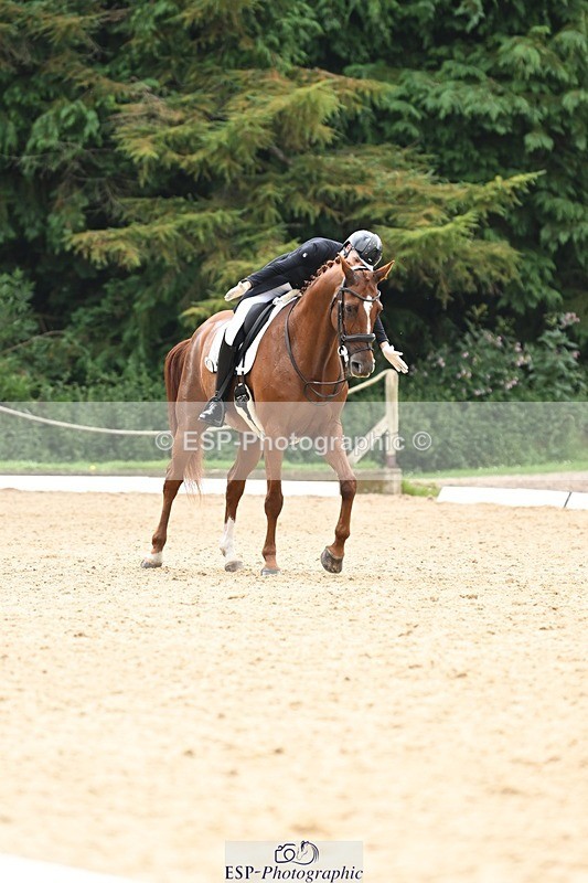 240811-134356-06163 - 127-Sarah.Stewart-DJoe.DiMaggio