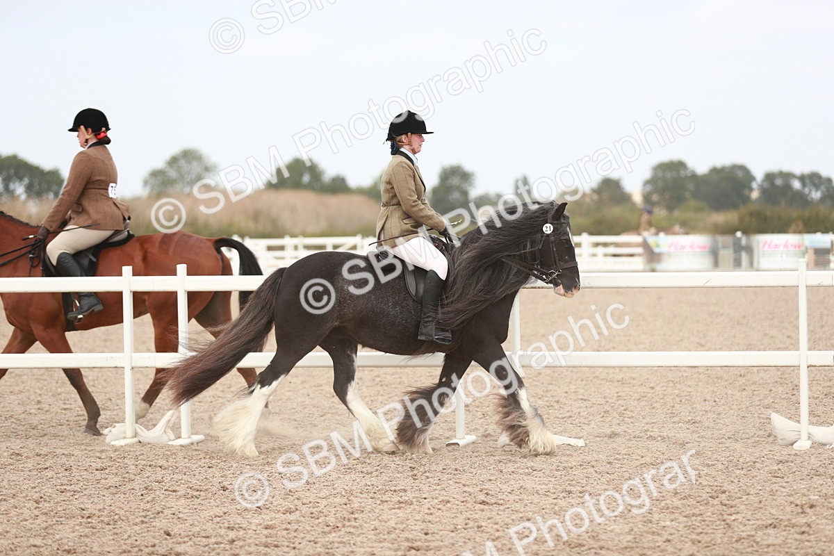 SBM_16590 - Class 214 Ridden Cob