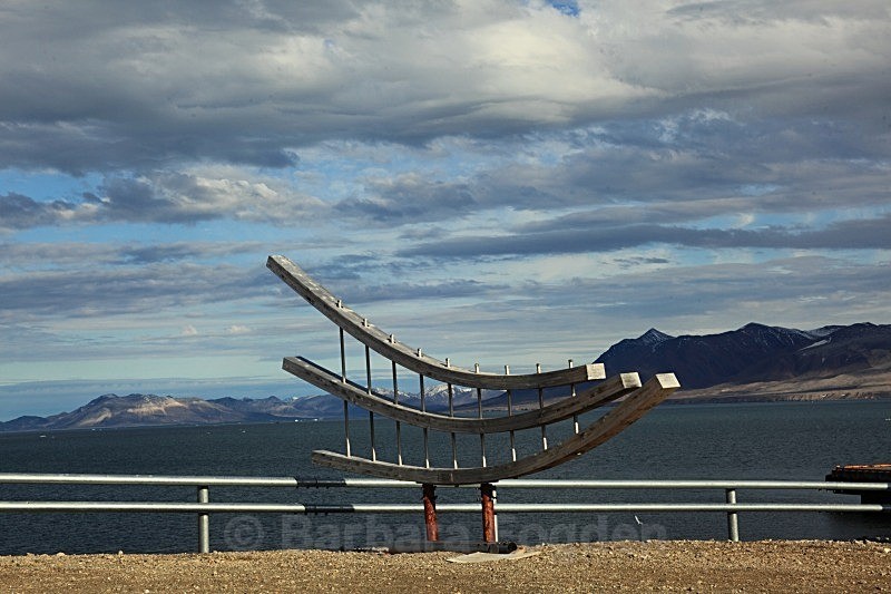 Ny Alesund 8590 - Summer time