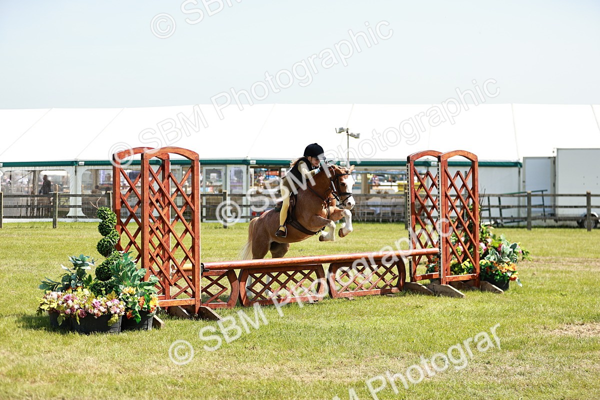 SBM_13591 - Class 108-109 - BSPS LIHS Open Gradle & Nursery Stakes