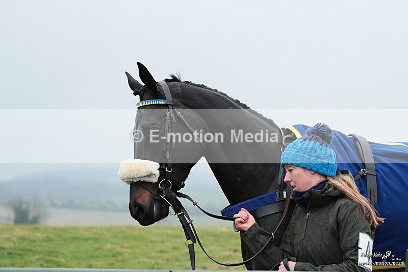 PtP 100324 449 - Pytchley with Woodland Point-to-Point Guilsborough 10/03/24