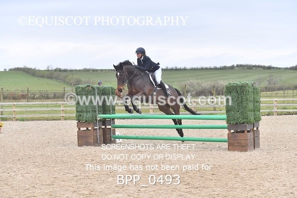 BPP_0493 - CLASS 3  Club/ Unaffiliated 90cms Open