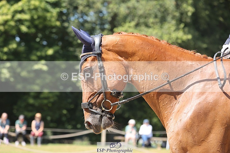 240719-122432-01689 - 110-Zoe_Porter-Lariats_Point