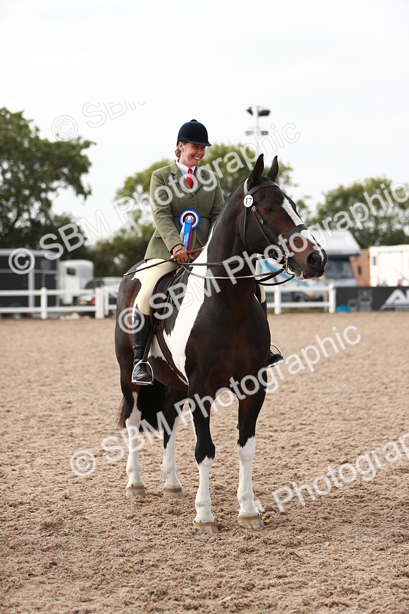 SBM_16824 - Class 214 Ridden Cob