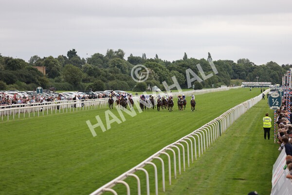 yr18082021r7-14 - Race 7 5.20pm Sky Bet Nursery Handicap