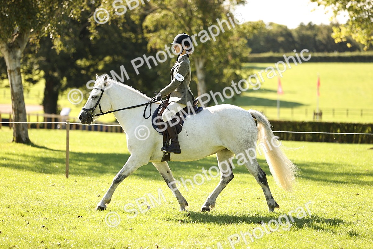 SBM_19099 - S3 - TSR Ridden Pony Showing