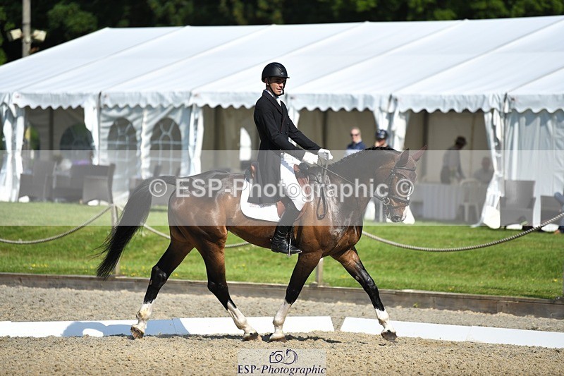 230525-093858-01642 - 307-PENHILLS_CANDY_MAN-Max_Warburton-WEDTrotUp+DR