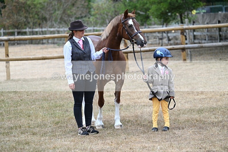 WJ7_8084 - Class 4 Prettiest Mare up to 14.2hh