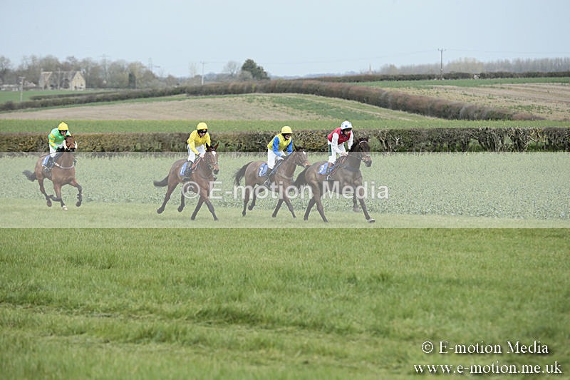 PtP 230319 30 - VWH Hunt Siddington Point-to-Point Racing 23/03/19