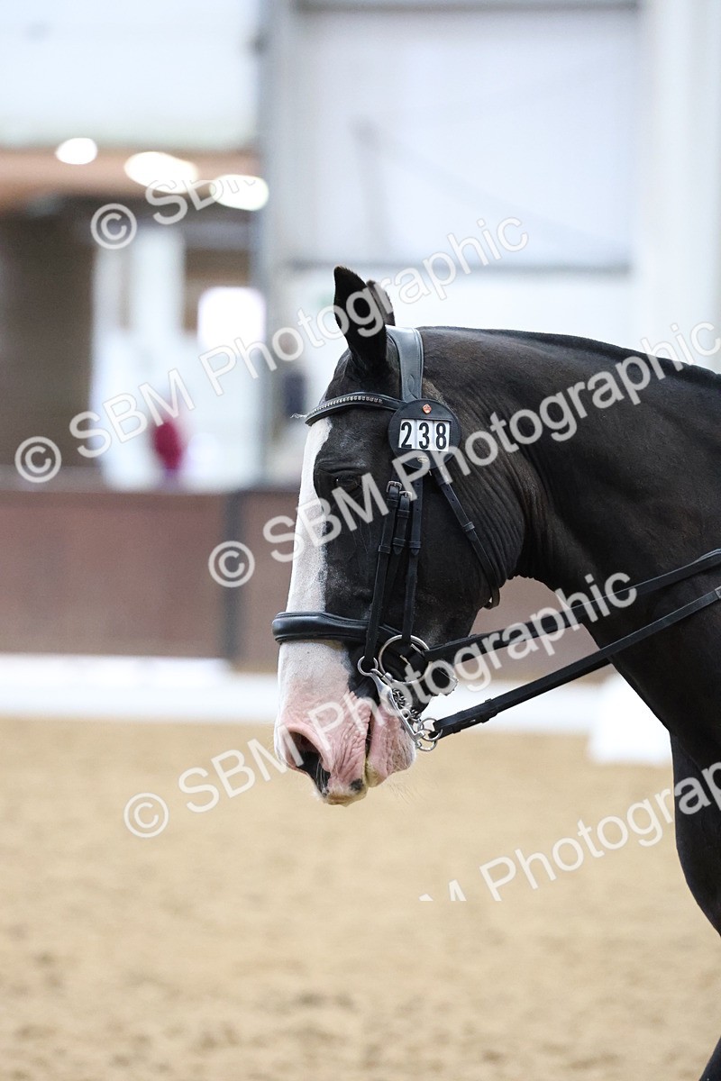 SBM_007042 - Class 28 - PSG FSM