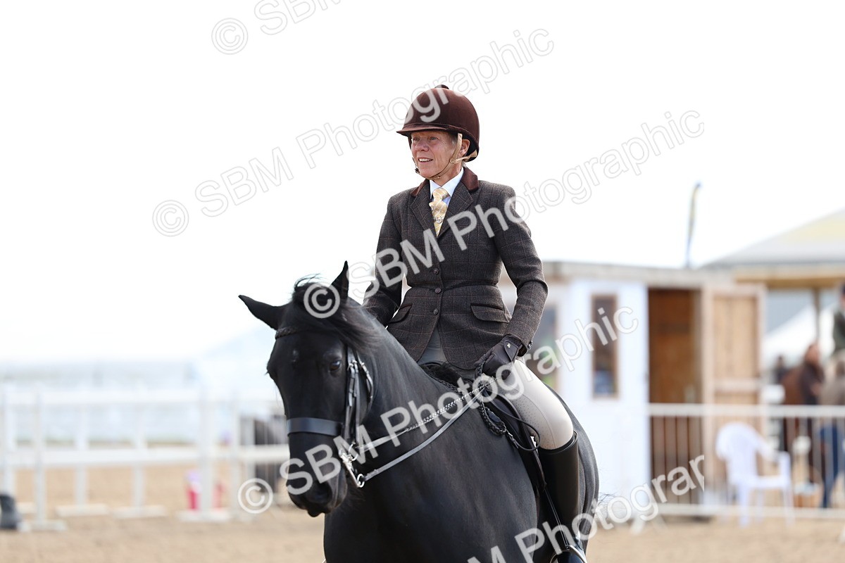 SBM_08956 - Class 302 - Ridden M&M - Large Breeds