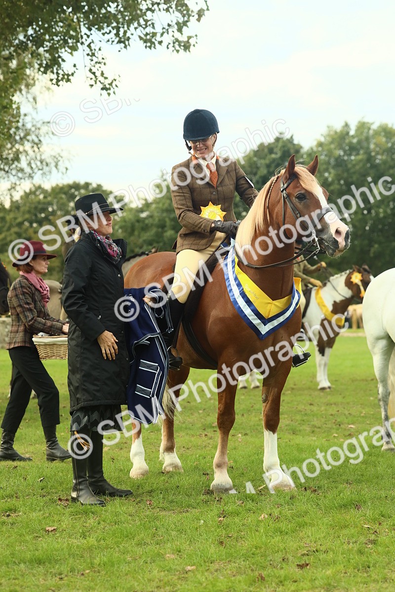 SBM_75089 - Ridden Pony Supreme Championship
