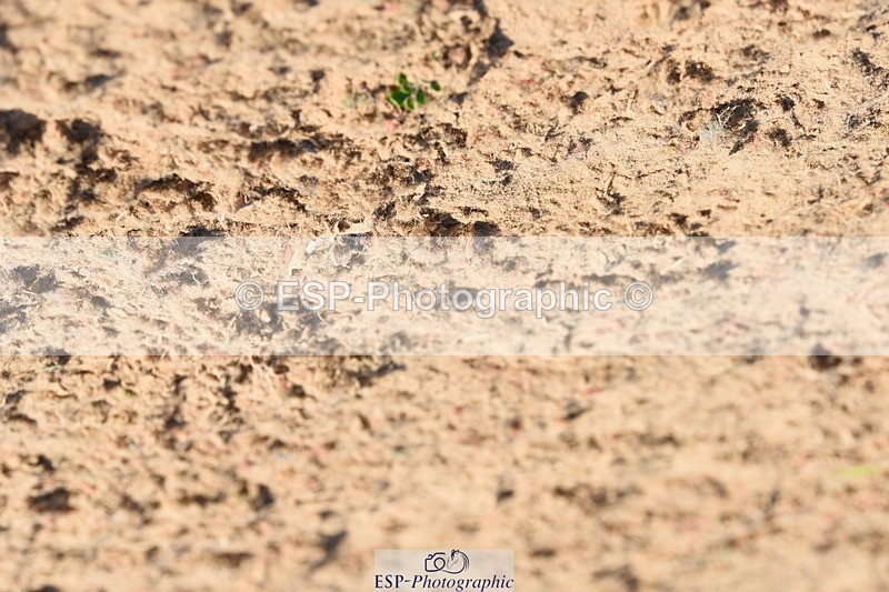 230915A-154238-00855 - Cls 13 1.10m Amateur Qualifier & 1.10m Open