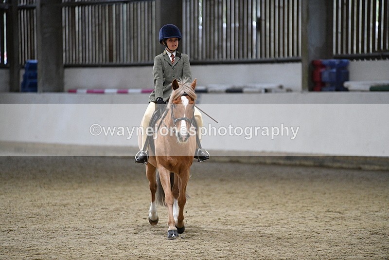 WJ5_8388 - Class 14 Novice Ridden/Rider