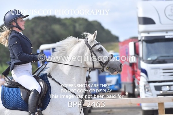 BPP_2463 - DERBY CLASS 7 - 80CM