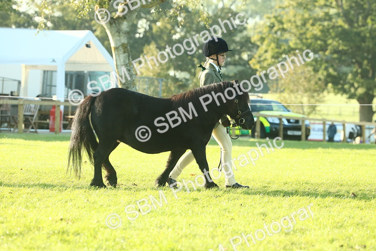 SBM_57305 - S37 - Starters In Hand Showing