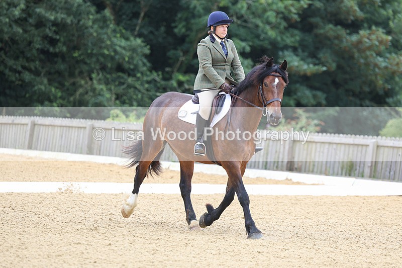 3E7A4566 - Class 1: Intro 4 2024 section A