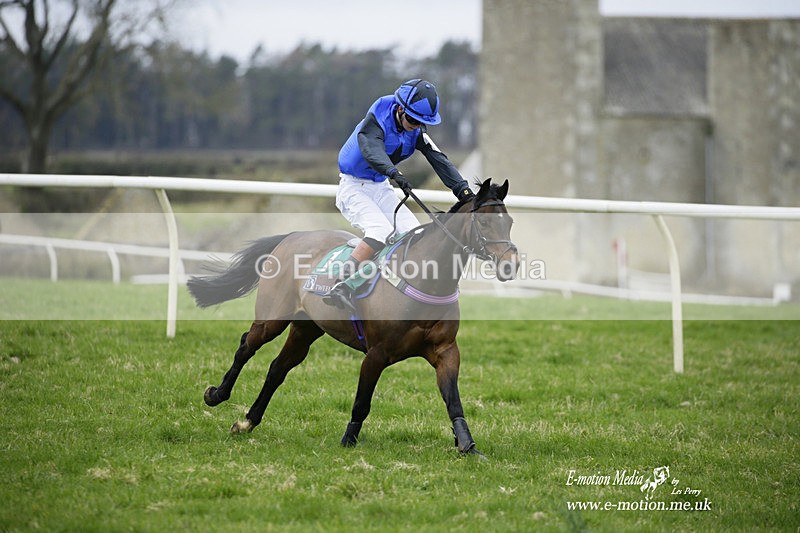 PtP 050322 53 - The Beaufort Races Didmarton 05/03/22