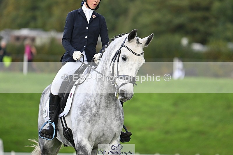 251023A-104708-02600 - G-509-Millie.Bloomfield