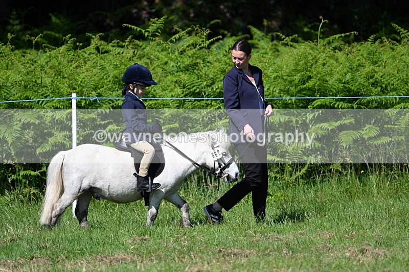 WJ7_0672 - Class 8 First Rally Pony