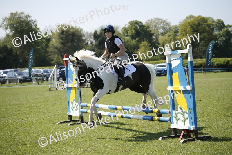 20250427-2238 - Class 13 - Novice Jumping 60cm