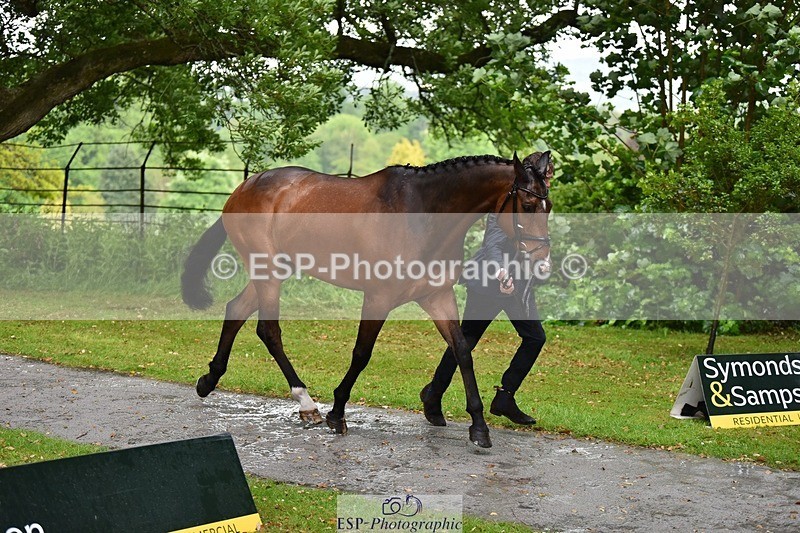 240522-151912-00257 - 320-CARPO_VIVENDI-Jack_Pinkney