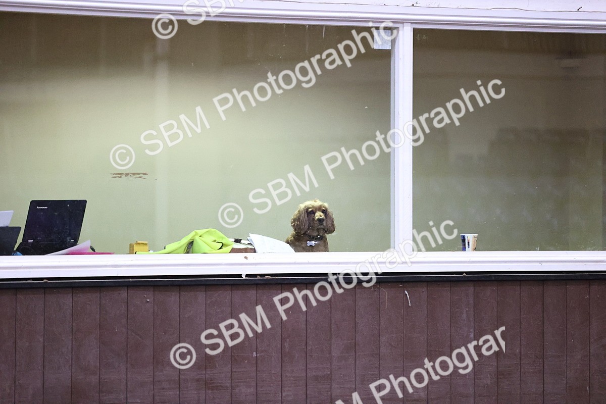 SBM_010077 - Class 24 - Equine Star Championship Qualifier 1.10m