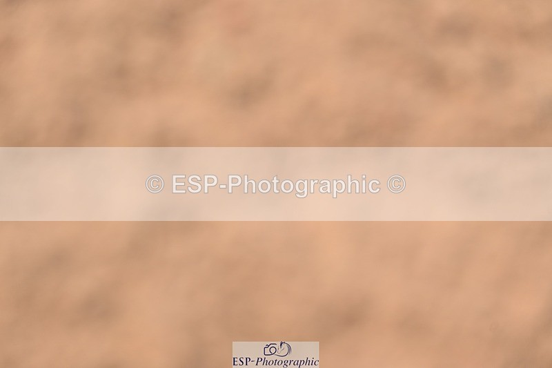 260426-121141-18918 - Cls 32, 1 Star 6 Year Old Final