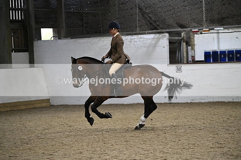 WJ7_4024 - Class 17 Ridden Cob