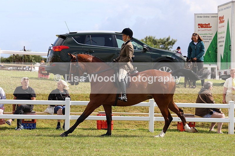 3E7A9374 - Class 4: Rising Star M/H Hunter