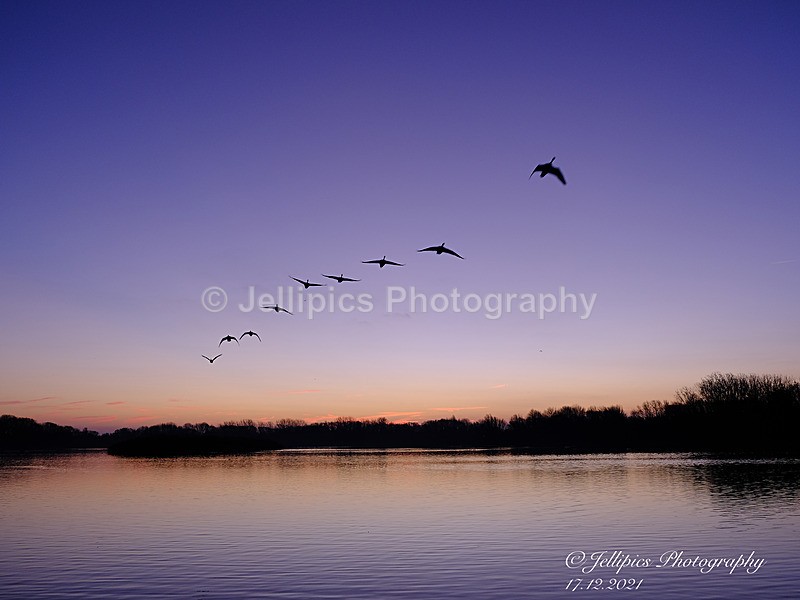  - Landscapes