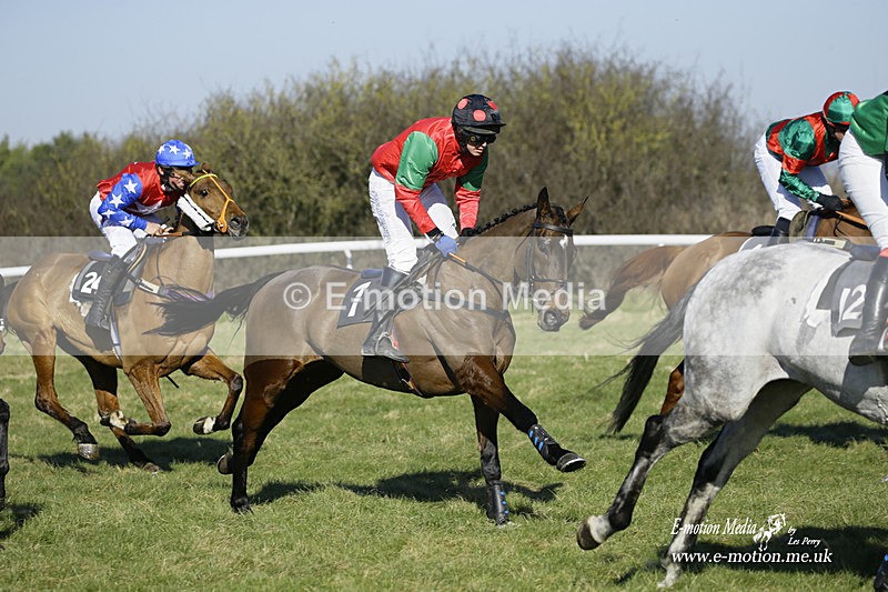 PtP 270222 58 - South & West Wilts Point-to-Point Larkhill 27/02/22