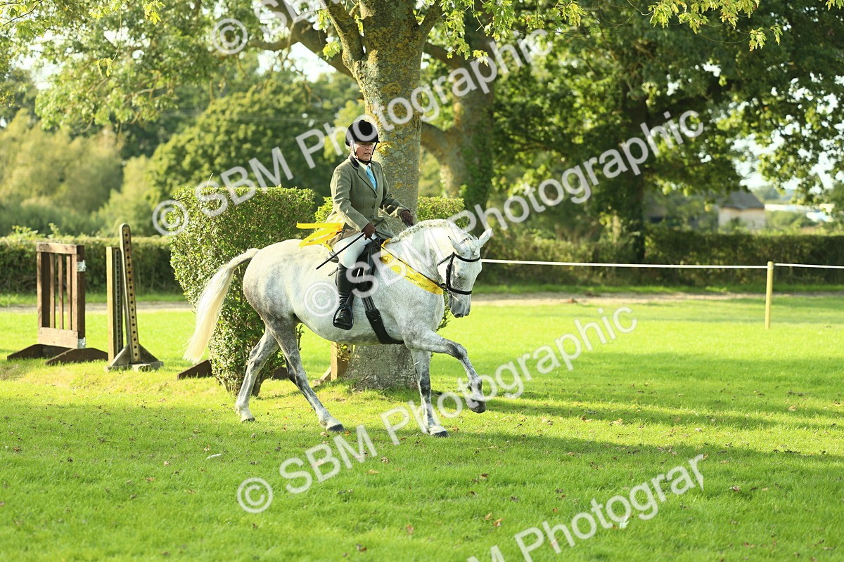 SBM_52282 - Working Hunter Supreme Championship