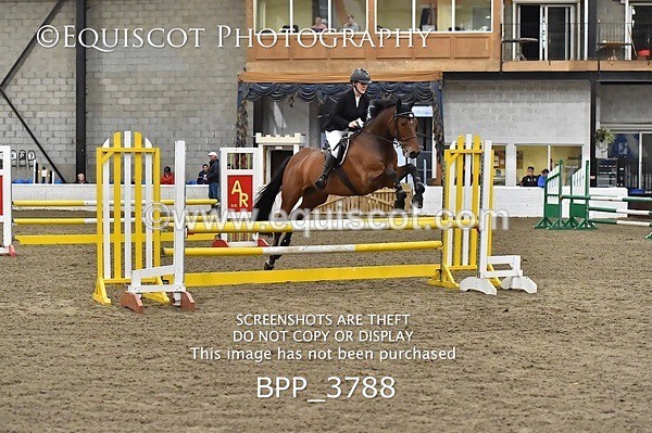 BPP_3788 - FRI CLASS 21 BR NOVICE/90CM