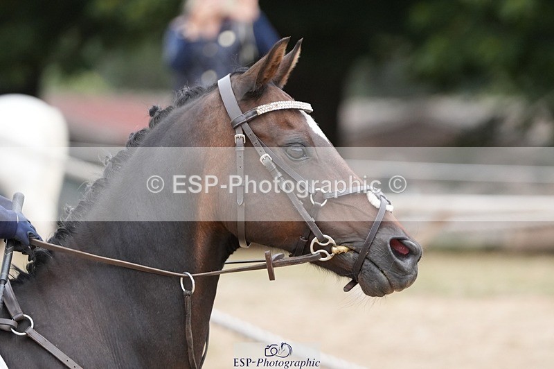 250820A-114317-04355 - Round 2, 10.45 to 11.45 Break