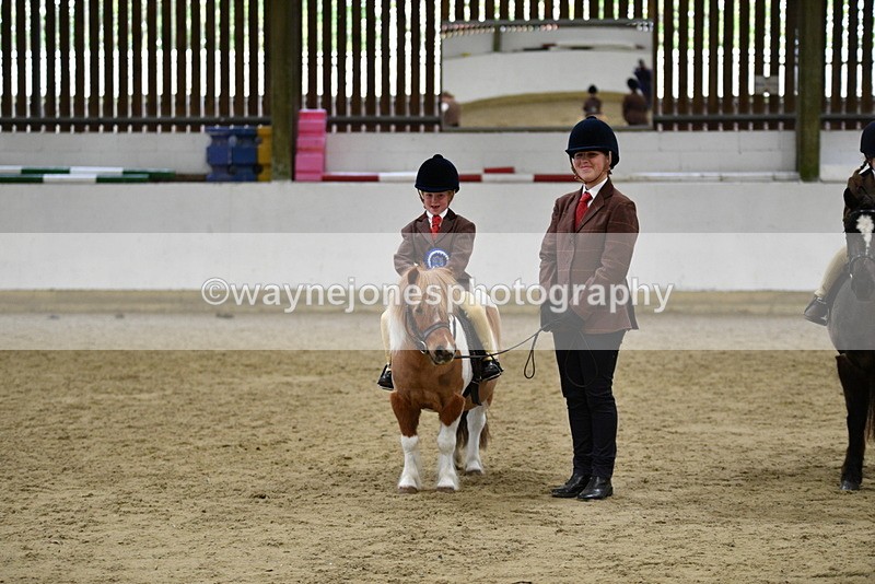 WJ5_7100 - Class 10 Childs Pony
