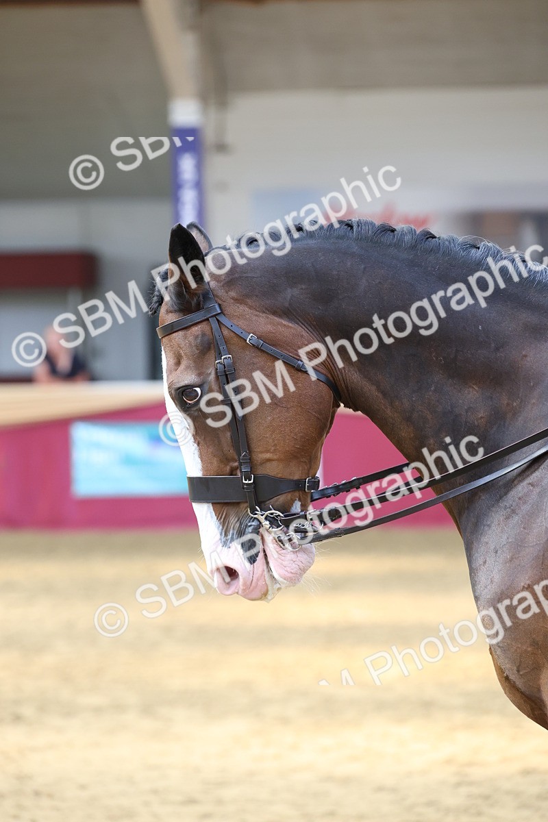 SBM_24130 - Class 905 - Supreme Final - Ridden Veteran