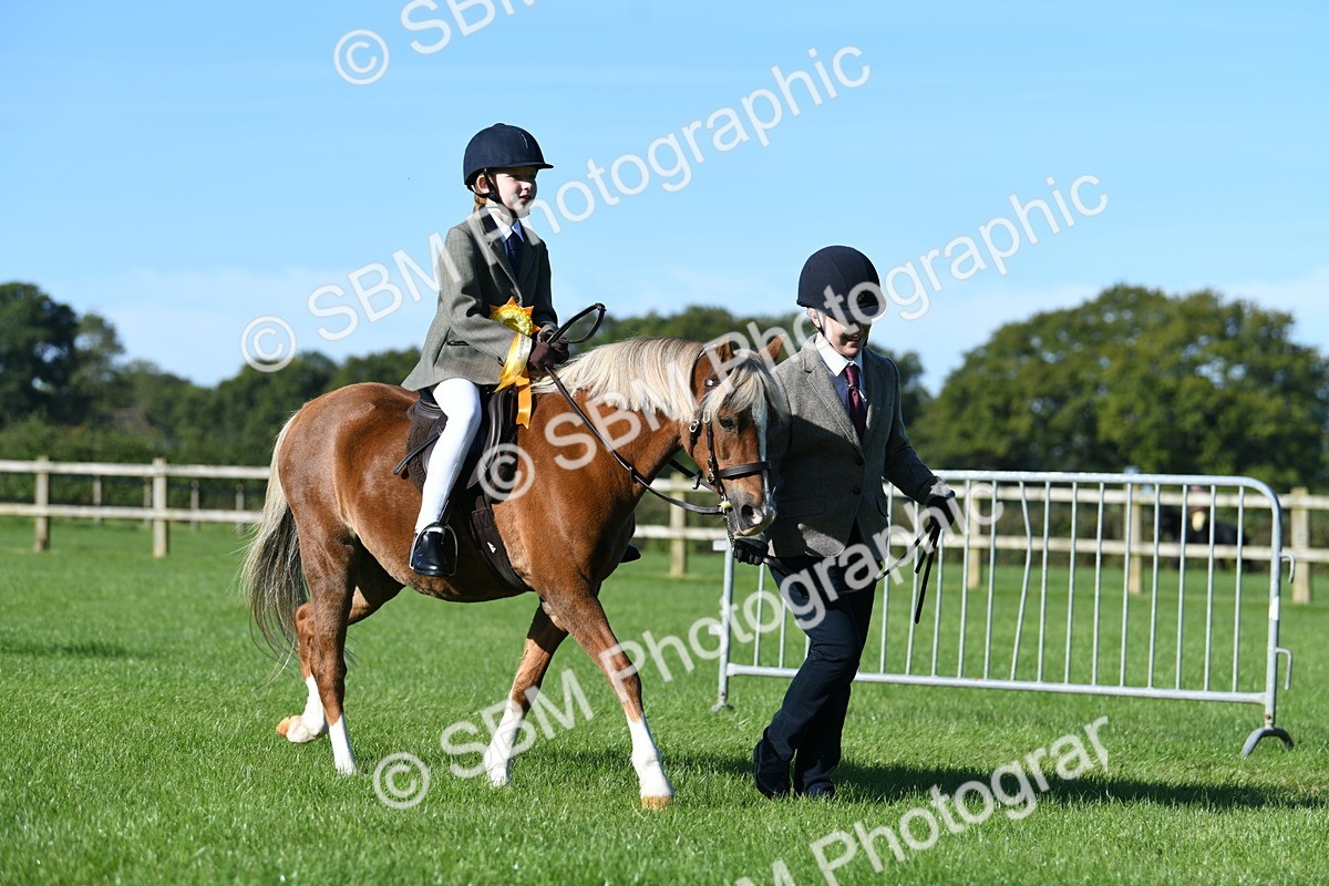 SBM_35525 - S17 - Condition & Turnout - Lead Rein