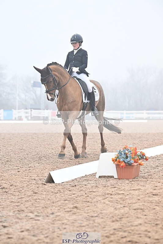 240217A-123300-02242 - 225-Lucy.Goodman-Queenie.S