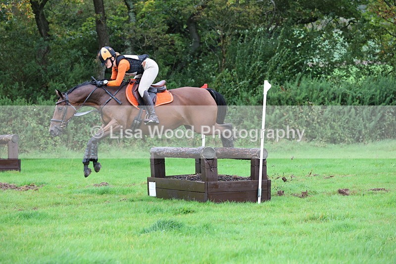 JPP_5450 - Class 4: 80cm: Crossed Logs