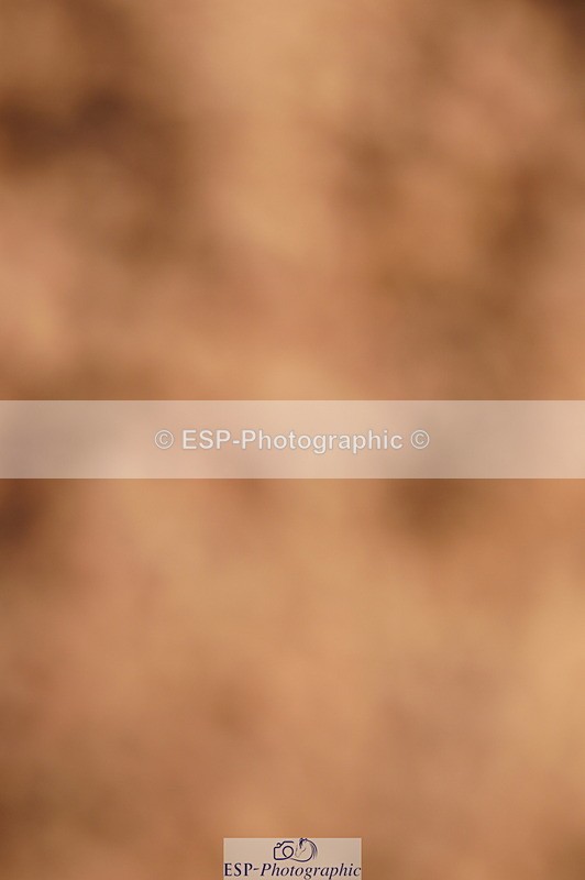 240628A-173816-00566 - Cls 2 Intro 90cm