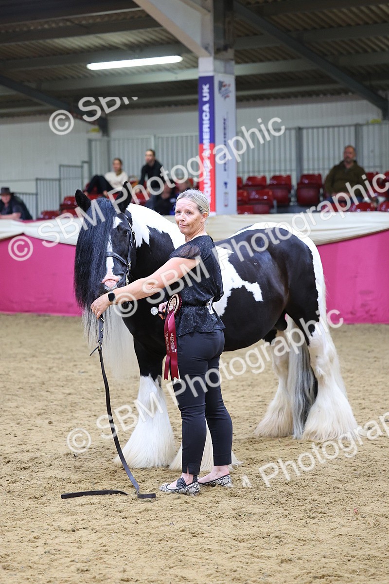 SBM_21142 - Class 902 - Supreme Final IH Veteran