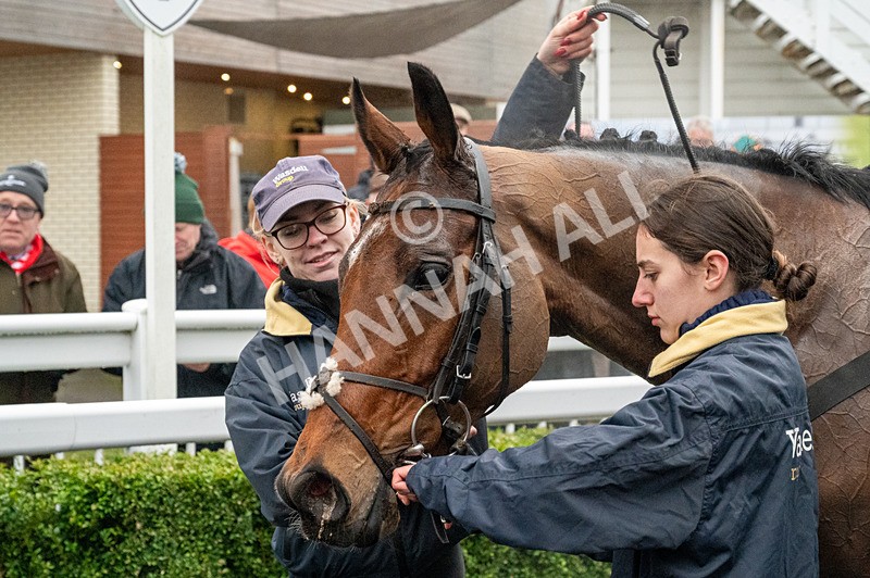 110124-Race 5-Track And Trace-5358 - Race 5