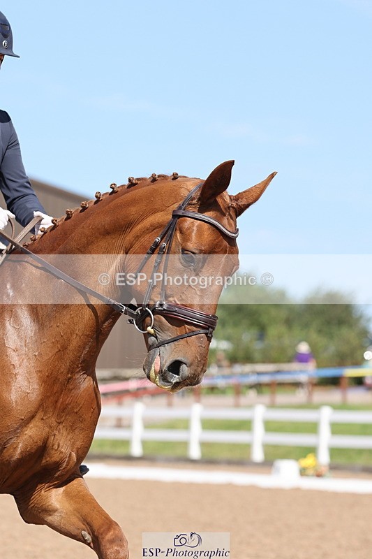 240816A-141904-05380 - 259-Amy.Harris-Stormhill.ultima