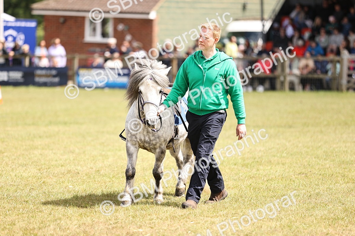 SBM_16390 - Dinky Derby