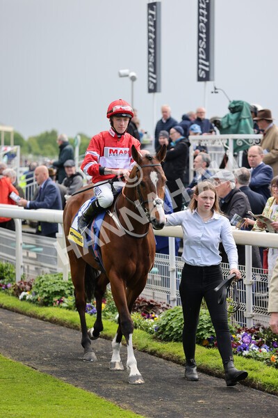 yr11052022r2-17 - Race 2 2.25pm Churchill Tyres Stakes
